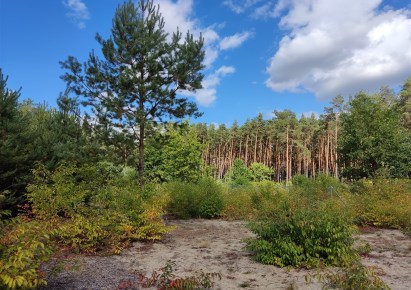 działka na sprzedaż - Wyszków, Kamieńczyk