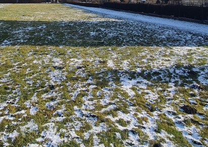 działka na sprzedaż - Gorzyce, Gorzyczki