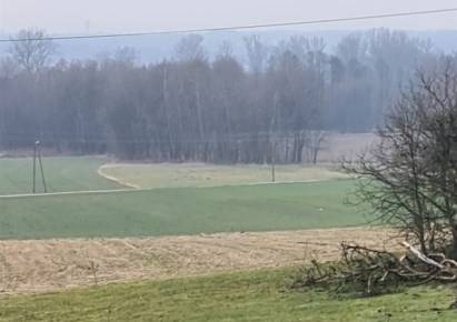 działka na sprzedaż - Godów, Łaziska