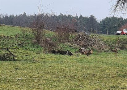 działka na sprzedaż - Godów, Łaziska