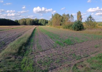 działka na sprzedaż - Horyniec, Nowe Brusno