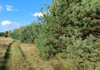 działka na sprzedaż - Horyniec, Nowe Brusno