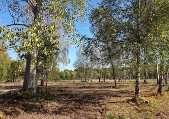 działka na sprzedaż - Będzin