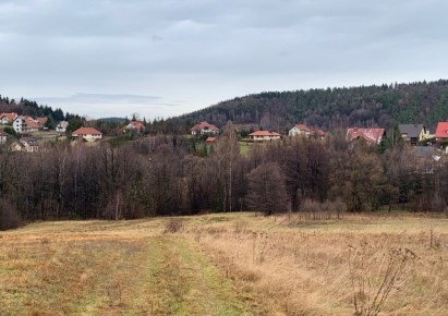 działka na sprzedaż - Andrychów (gw), Rzyki