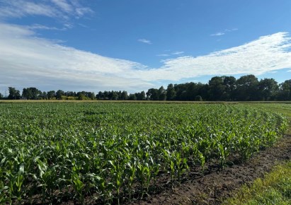 działka na sprzedaż - Strumień (gw), Drogomyśl