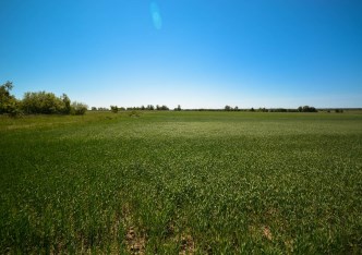 działka na sprzedaż - Przemyśl