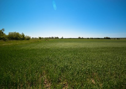 działka na sprzedaż - Przemyśl