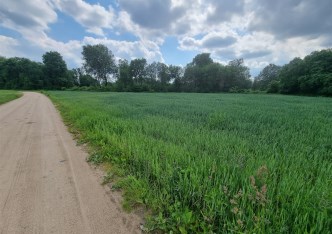 działka na sprzedaż - Bodzanów, Białobrzegi