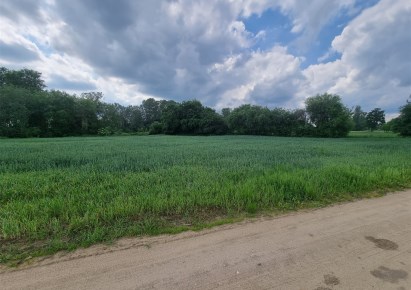 działka na sprzedaż - Bodzanów, Białobrzegi