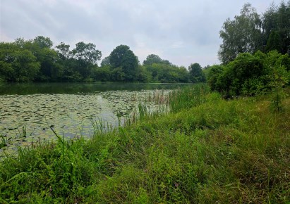 dom na sprzedaż - Bodzanów, Białobrzegi