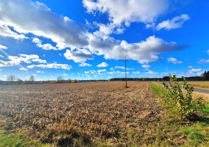 działka na sprzedaż - ZABŁUDÓW, Żuki