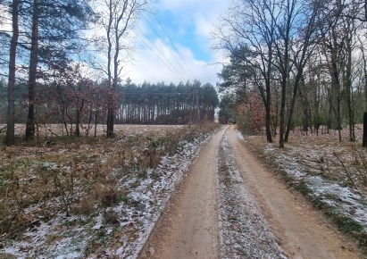 działka na sprzedaż - Słubice, Grzybów