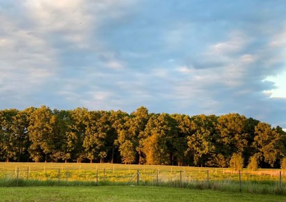 działka na sprzedaż - Żory, Baranowice