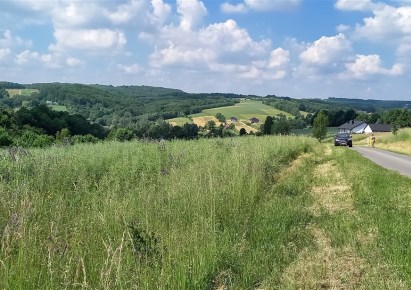 działka na sprzedaż - Chmielnik, Błędowa Tyczyńska