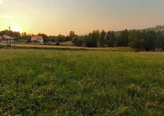 działka na sprzedaż - Tyczyn, Borek Stary